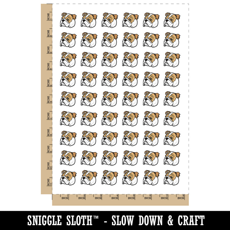 English Bulldog Head Temporary Tattoo Water Resistant Fake Body Art Set Collection (1 Sheet)