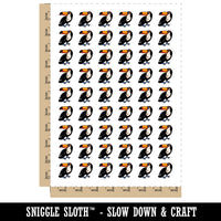 Curious Toco Toucan Bird Temporary Tattoo Water Resistant Fake Body Art Set Collection (1 Sheet)