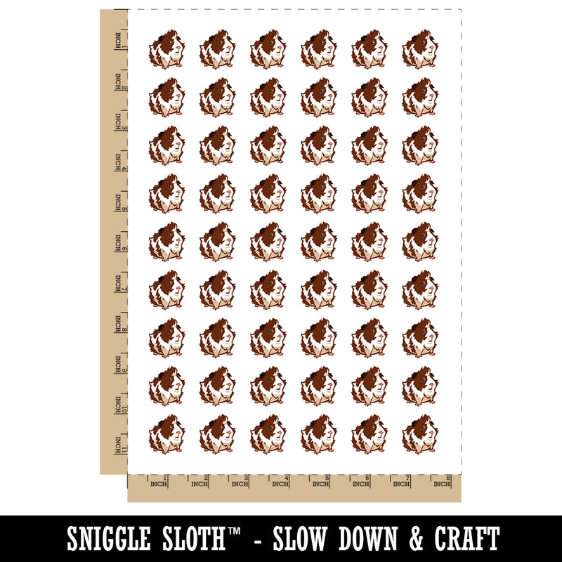 Cute and Hairy Abyssinian Guinea Pig Temporary Tattoo Water Resistant Fake Body Art Set Collection (1 Sheet)