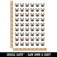 Peeking Siamese Cat Temporary Tattoo Water Resistant Fake Body Art Set Collection (1 Sheet)