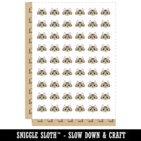 Fluffy Striped Tabby Cat Head Temporary Tattoo Water Resistant Fake Body Art Set Collection (1 Sheet)