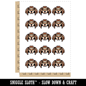 Cute Jumping Spider Temporary Tattoo Water Resistant Fake Body Art Set Collection (1 Sheet)