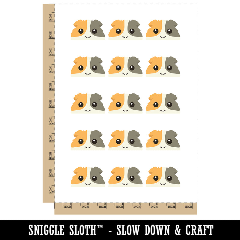 Peeking Guinea Pig Temporary Tattoo Water Resistant Fake Body Art Set Collection (1 Sheet)