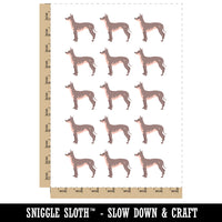 American Hairless Terrier Dog Solid Temporary Tattoo Water Resistant Fake Body Art Set Collection (1 Sheet)