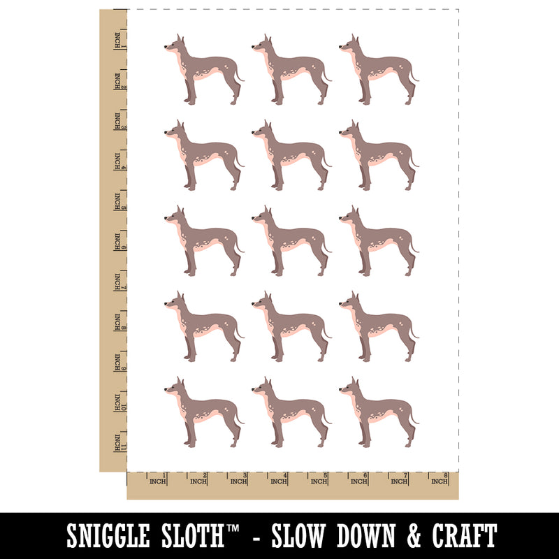 American Hairless Terrier Dog Solid Temporary Tattoo Water Resistant Fake Body Art Set Collection (1 Sheet)