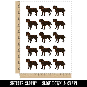 American Water Spaniel Dog Solid Temporary Tattoo Water Resistant Fake Body Art Set Collection (1 Sheet)
