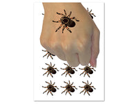 Tarantula Spider Solid Temporary Tattoo Water Resistant Fake Body Art Set Collection (1 Sheet)