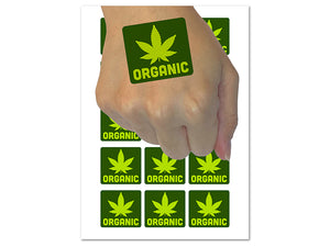 Organic Marijuana Leaf Pot Weed Hemp Temporary Tattoo Water Resistant Fake Body Art Set Collection (1 Sheet)