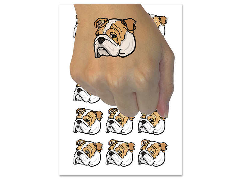 English Bulldog Head Temporary Tattoo Water Resistant Fake Body Art Set Collection (1 Sheet)