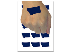 Montana State Silhouette Temporary Tattoo Water Resistant Fake Body Art Set Collection (1 Sheet)