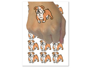 English Bulldog Standing Dog Temporary Tattoo Water Resistant Fake Body Art Set Collection (1 Sheet)