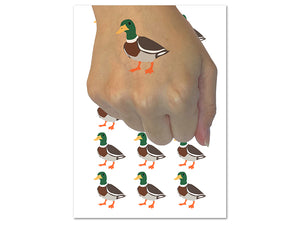 Standing Mallard Duck Temporary Tattoo Water Resistant Fake Body Art Set Collection (1 Sheet)