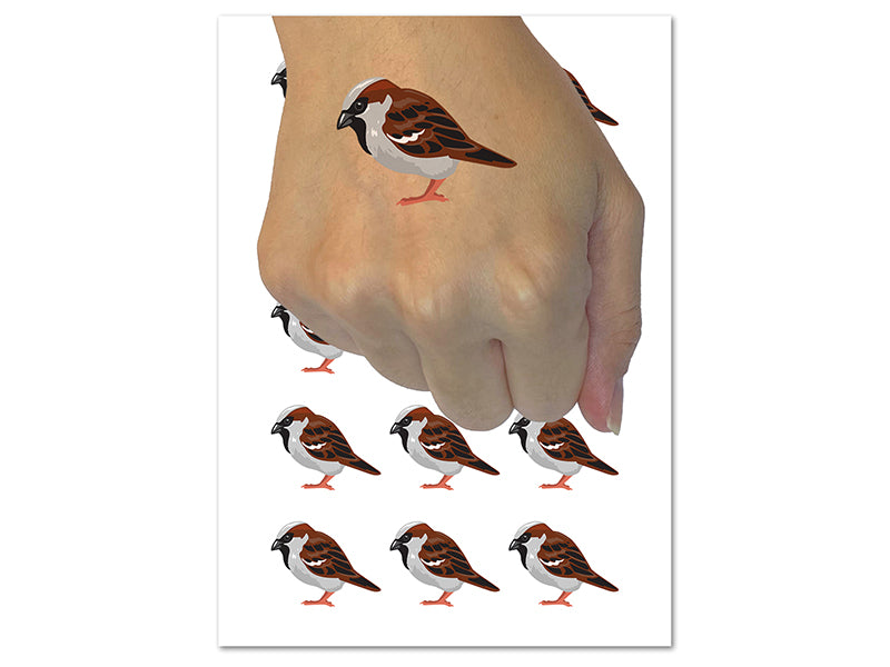 House Sparrow Little Bird Standing Temporary Tattoo Water Resistant Fake Body Art Set Collection (1 Sheet)