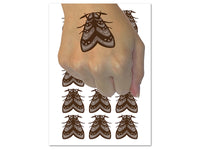 Resting Moth Bug Insect Temporary Tattoo Water Resistant Fake Body Art Set Collection (1 Sheet)