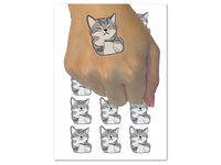 Sleeping Pocket Kitten Cat Temporary Tattoo Water Resistant Fake Body Art Set Collection (1 Sheet)
