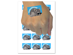 Chinchilla Chinchillin Chilling Cool Sunglasses Temporary Tattoo Water Resistant Fake Body Art Set Collection (1 Sheet)