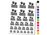 Boston Terrier Dog Paw Prints Fun Text Temporary Tattoo Water Resistant Fake Body Art Set Collection