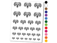 Horned Ram Skull Temporary Tattoo Water Resistant Fake Body Art Set Collection