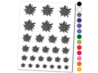 Haworthia Limifolia var Striata Succulent Plant Temporary Tattoo Water Resistant Fake Body Art Set Collection