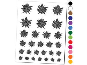 Haworthia Limifolia var Striata Succulent Plant Temporary Tattoo Water Resistant Fake Body Art Set Collection