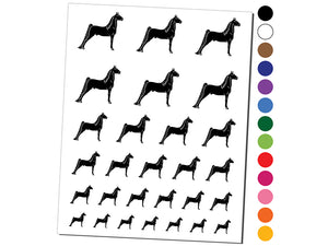 Posing Morgan Horse Temporary Tattoo Water Resistant Fake Body Art Set Collection