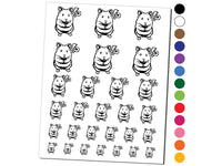 Shocked Syrian Teddy Bear Hamster Temporary Tattoo Water Resistant Fake Body Art Set Collection