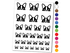 Peeking Boston Terrier Dog Temporary Tattoo Water Resistant Fake Body Art Set Collection