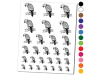 African Grey Parrot on a Branch Temporary Tattoo Water Resistant Fake Body Art Set Collection