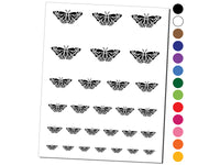 Delicate Detailed Butterfly Spring Summer Nature Monarch Temporary Tattoo Water Resistant Fake Body Art Set Collection
