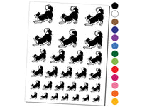 Border Collie Dog Play Bow Temporary Tattoo Water Resistant Fake Body Art Set Collection