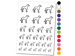 Speedy Lanky Greyhound Dog Temporary Tattoo Water Resistant Fake Body Art Set Collection
