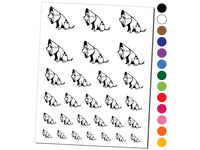 Sad Pet Dog in Cone of Shame Temporary Tattoo Water Resistant Fake Body Art Set Collection