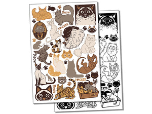 Kitty Cat Breeds Temporary Tattoo Water Resistant Fake Body Art Set Collection